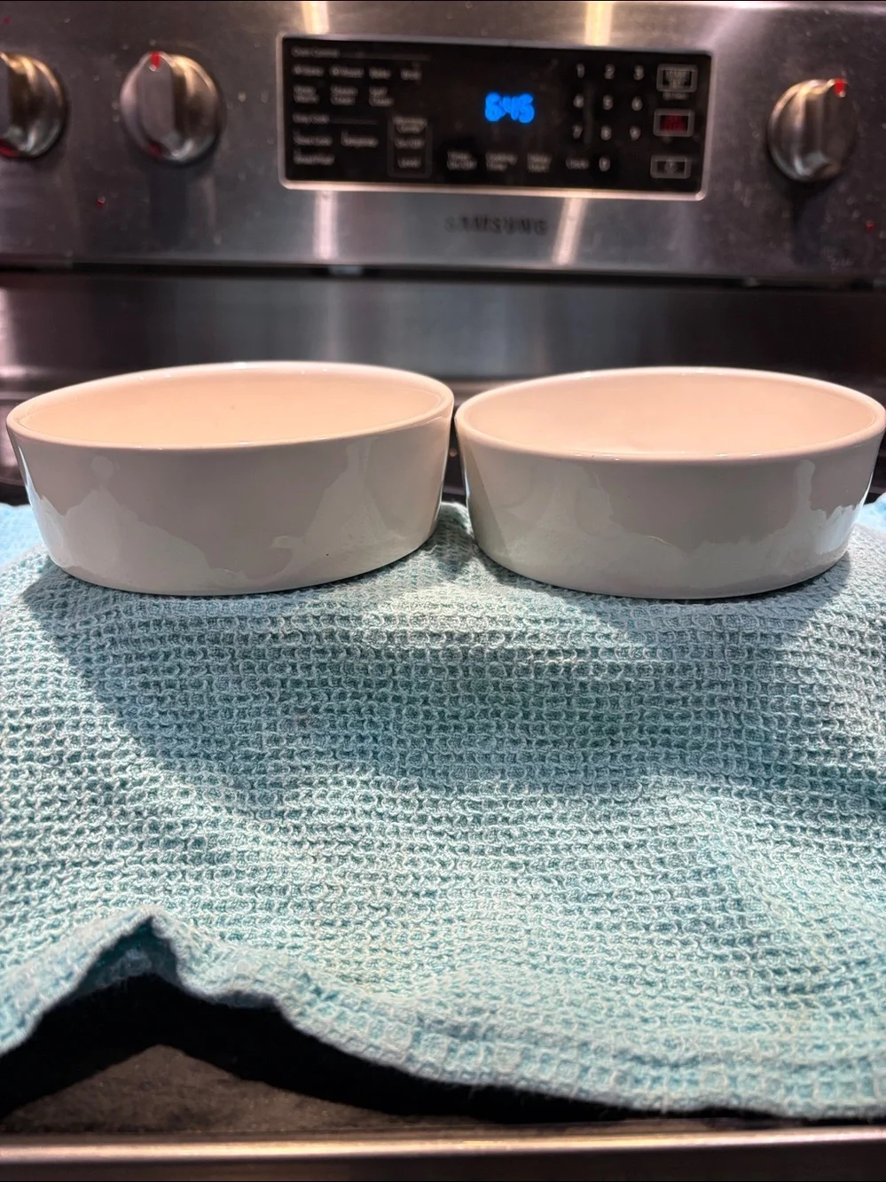 Rae Dunn Pet Dishes Gulp and Sip